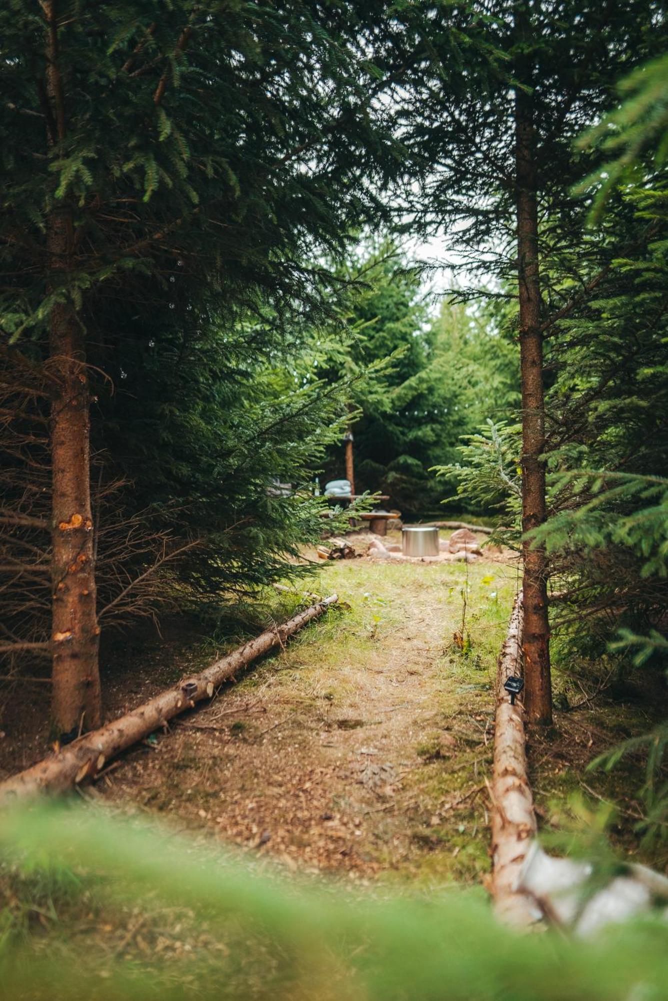 Cosy Forest Lodge Penrhos  Екстериор снимка