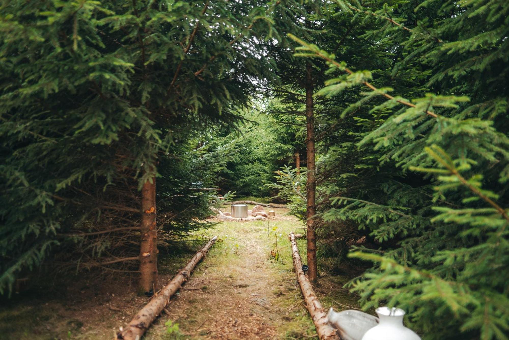Cosy Forest Lodge Penrhos  Екстериор снимка