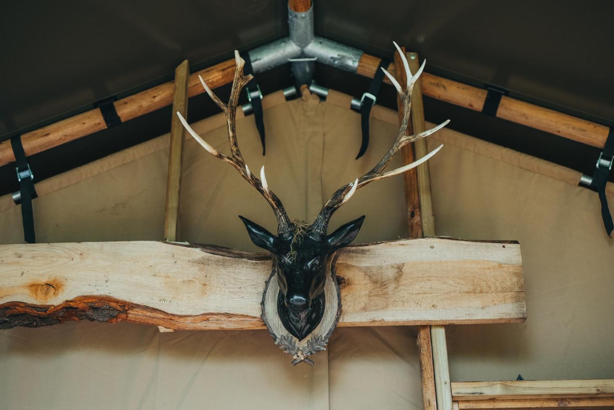 Cosy Forest Lodge Penrhos  Екстериор снимка